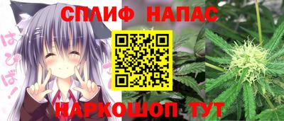 СК Нальчик