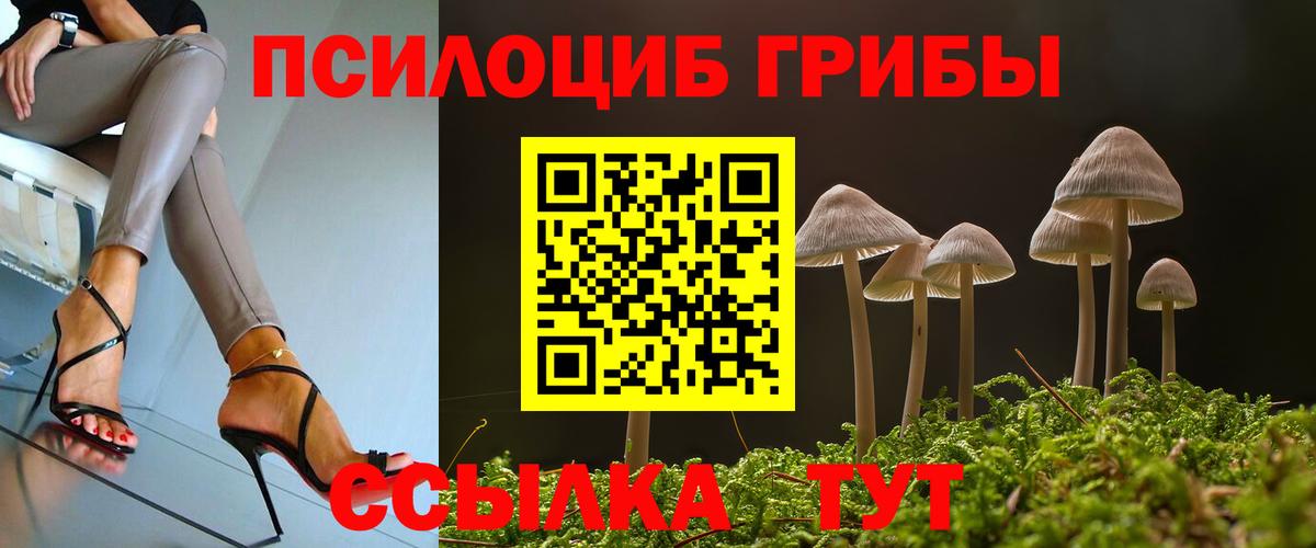 Псилоцибиновые грибы Cubensis Октябрьский
